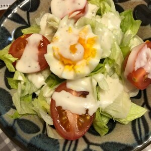 たっぷりトマトの野菜サラダ